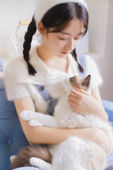 理论片2018理论